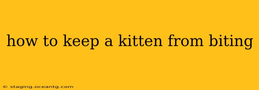 how to keep a kitten from biting