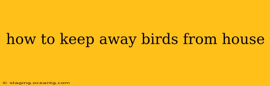 how to keep away birds from house