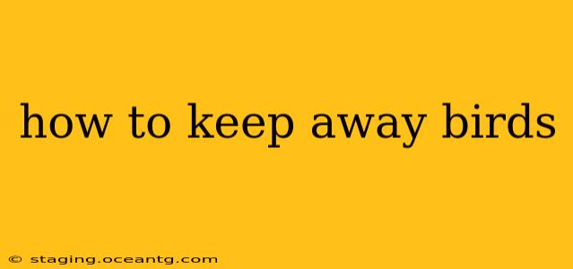 how to keep away birds