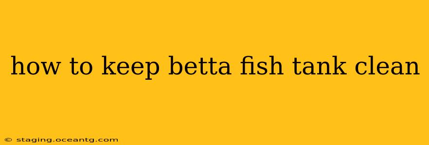 how to keep betta fish tank clean