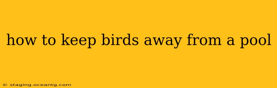 how to keep birds away from a pool