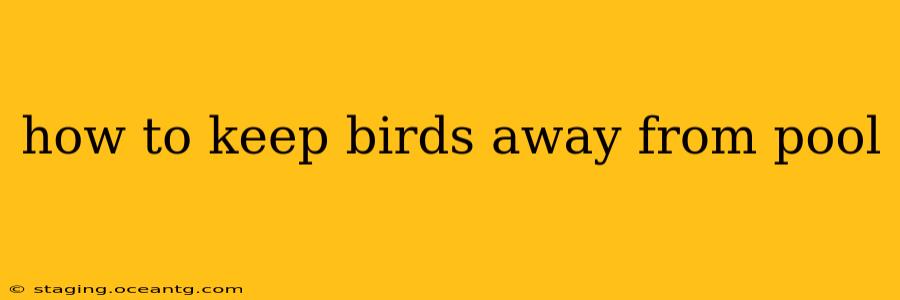 how to keep birds away from pool