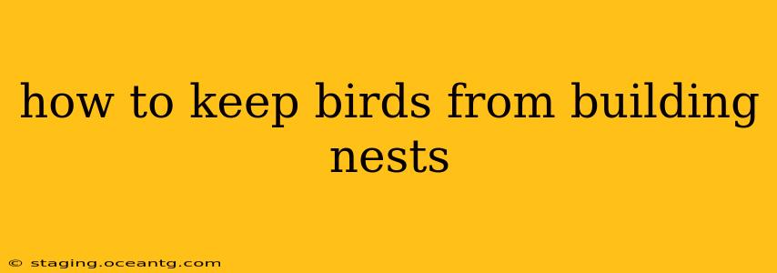 how to keep birds from building nests