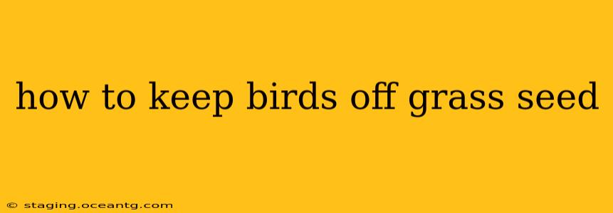 how to keep birds off grass seed