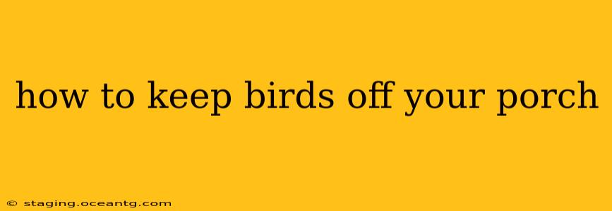 how to keep birds off your porch