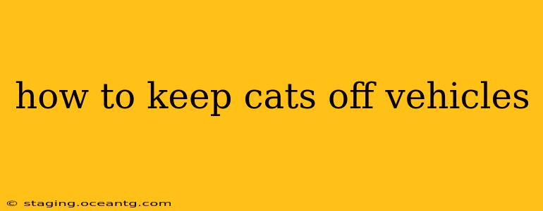 how to keep cats off vehicles