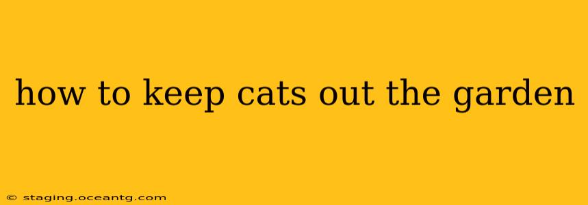 how to keep cats out the garden