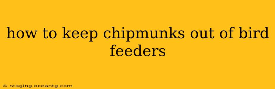 how to keep chipmunks out of bird feeders