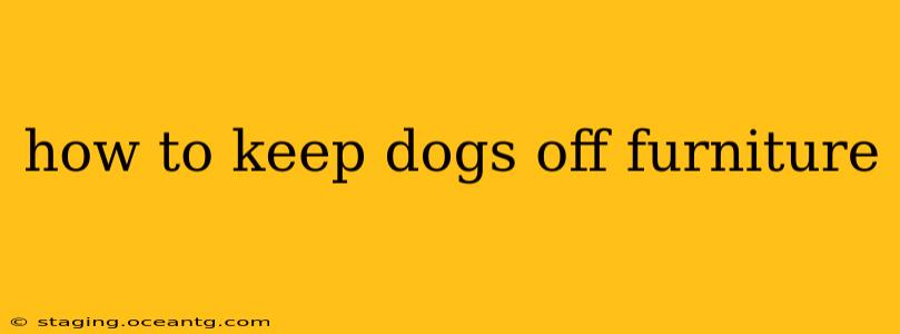 how to keep dogs off furniture