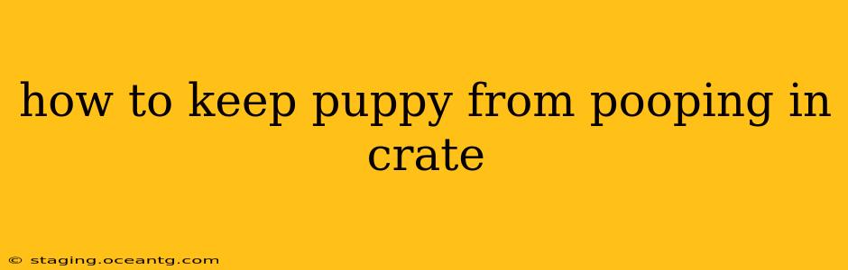 how to keep puppy from pooping in crate