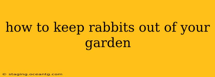 how to keep rabbits out of your garden