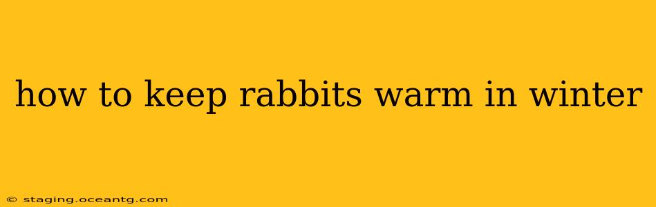 how to keep rabbits warm in winter