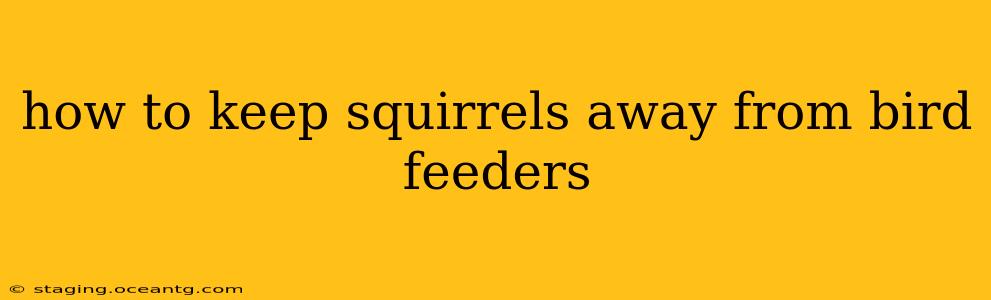 how to keep squirrels away from bird feeders