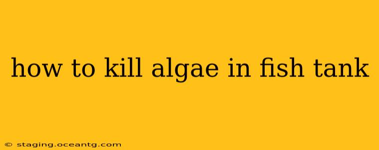 how to kill algae in fish tank