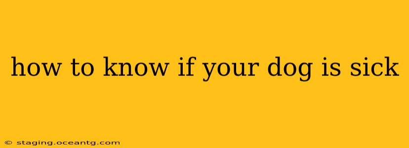 how to know if your dog is sick