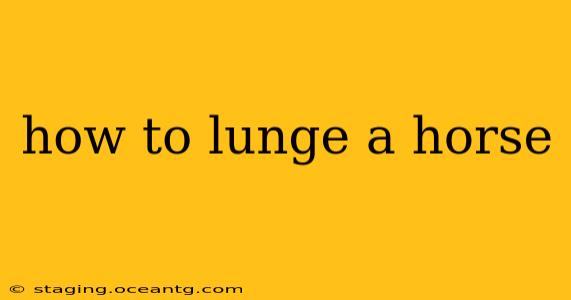 how to lunge a horse