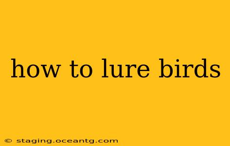 how to lure birds
