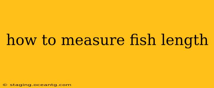 how to measure fish length