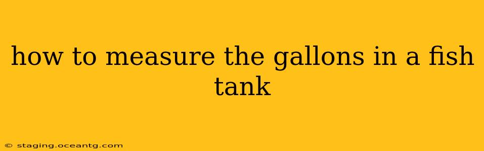 how to measure the gallons in a fish tank