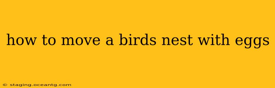 how to move a birds nest with eggs