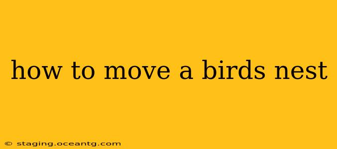 how to move a birds nest