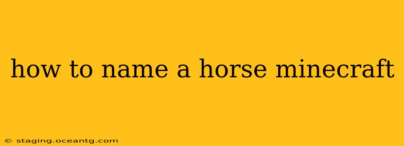 how to name a horse minecraft