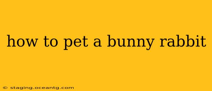how to pet a bunny rabbit