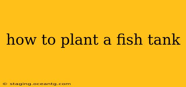 how to plant a fish tank
