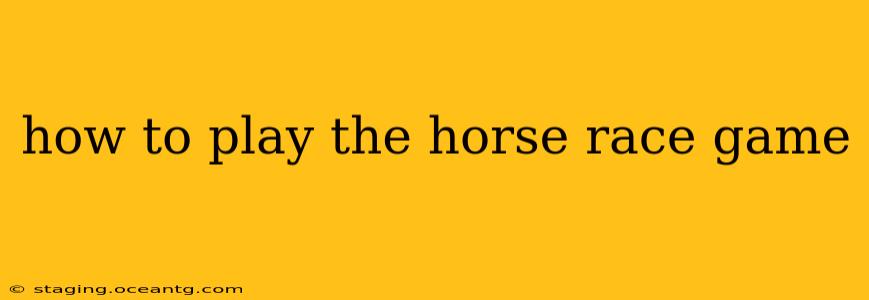 how to play the horse race game