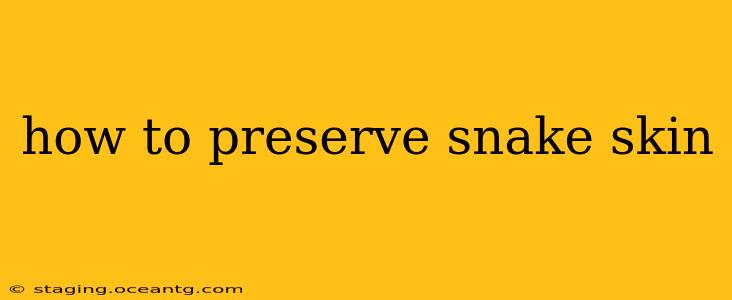how to preserve snake skin