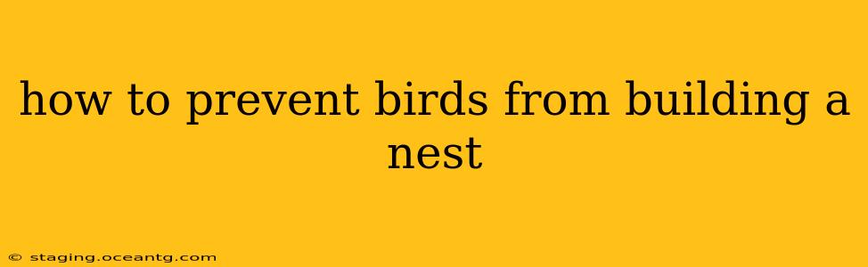 how to prevent birds from building a nest
