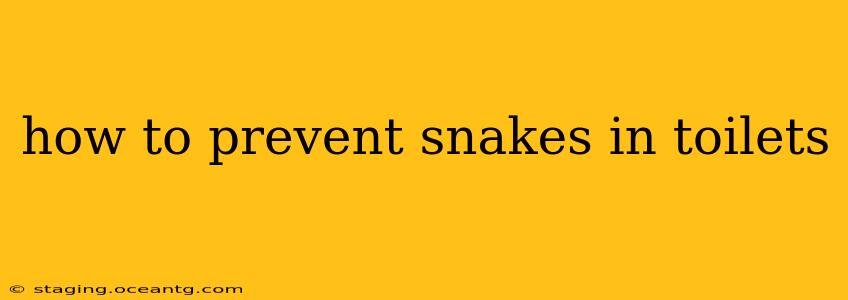 how to prevent snakes in toilets