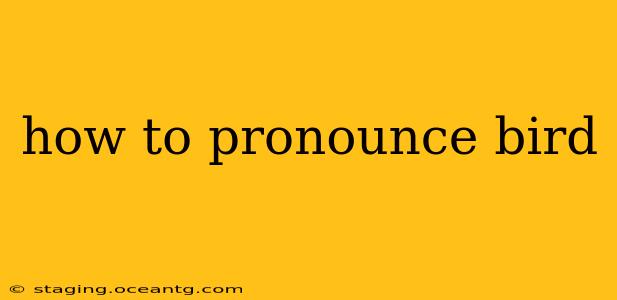 how to pronounce bird