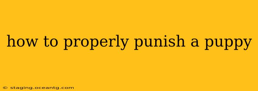 how to properly punish a puppy