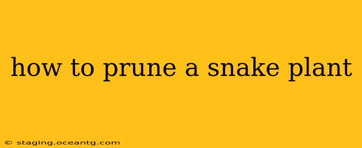 how to prune a snake plant