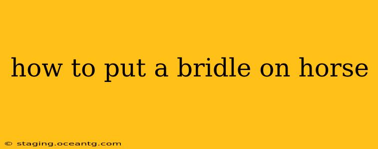how to put a bridle on horse