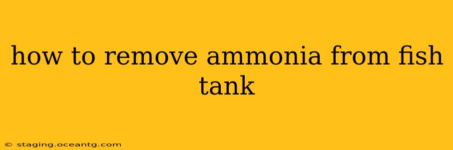 how to remove ammonia from fish tank