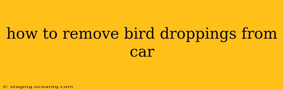 how to remove bird droppings from car