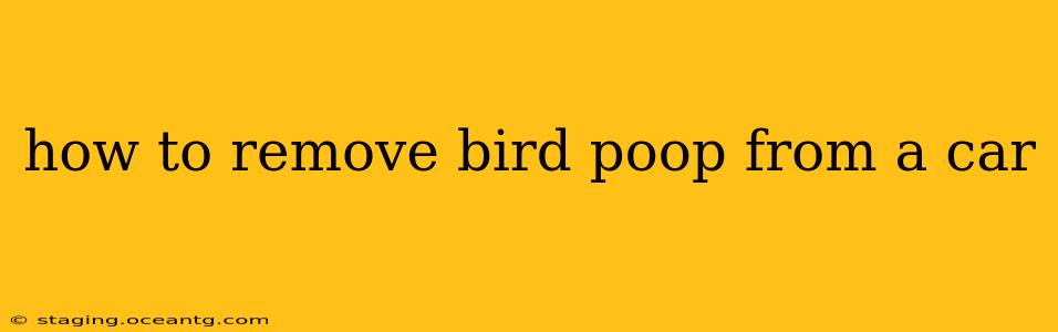 how to remove bird poop from a car