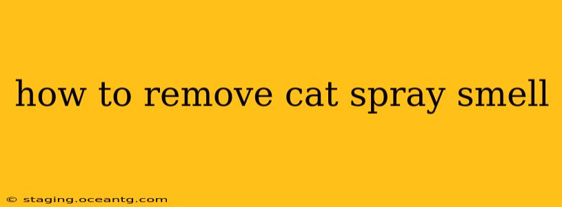 how to remove cat spray smell
