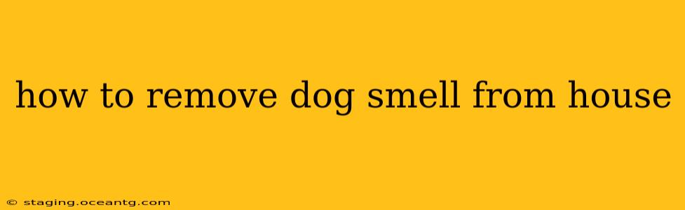 how to remove dog smell from house