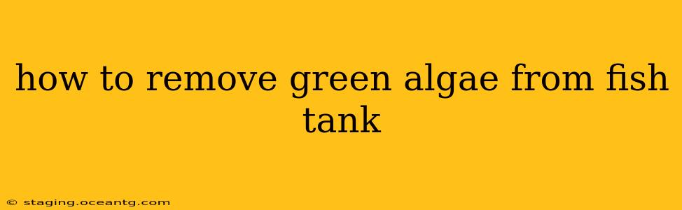 how to remove green algae from fish tank