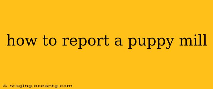 how to report a puppy mill