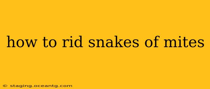 how to rid snakes of mites