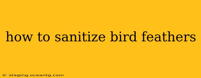how to sanitize bird feathers
