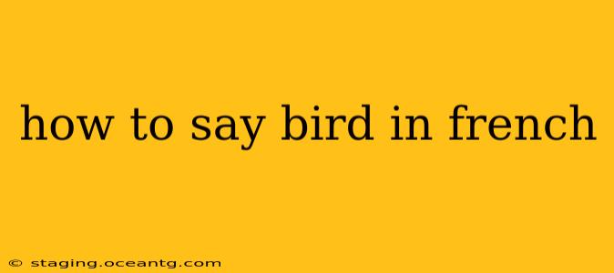 how to say bird in french