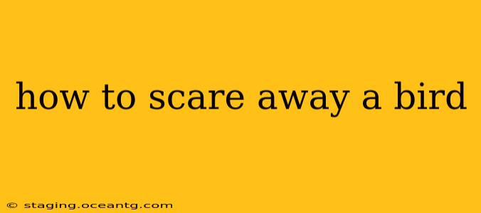how to scare away a bird