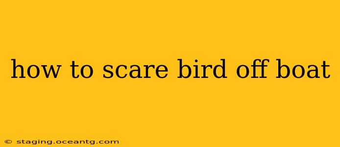 how to scare bird off boat