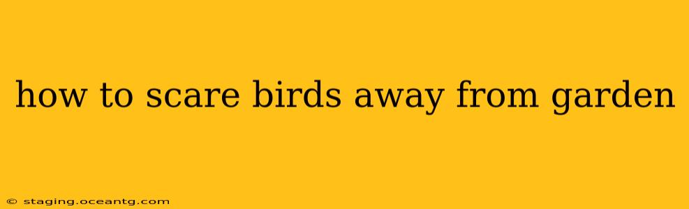 how to scare birds away from garden