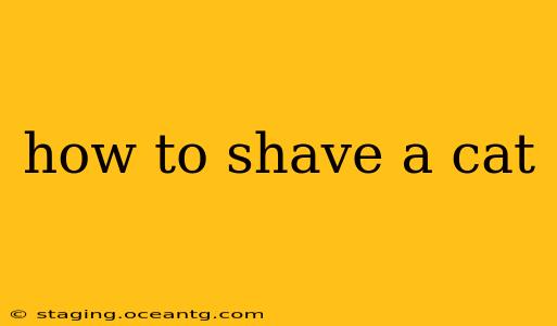 how to shave a cat